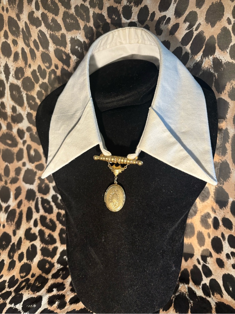 Gold Medallion Pendant Collar Necklace - Elegant Women's Jewelry